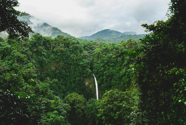Una cascada en la selva costarricense